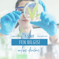8. Sınıf Fen Bilimleri Basınç